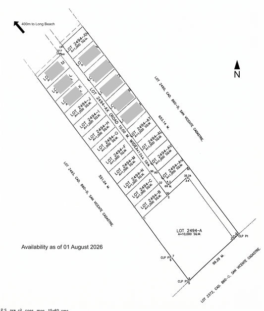 1,000 sqm Commercial Lots in San Vicente, Palawan | 5 min walk from Long Beach