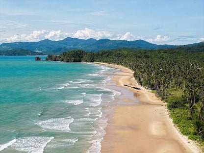 1.5-Hectare Beachfront Property at Brgy. Binga, San Vicente, Palawan