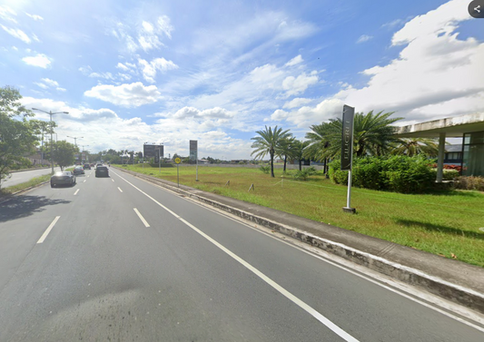 742 sqm Prime Commercial Lot at Daang Hari, Las Piñas | B1 Lot 2D