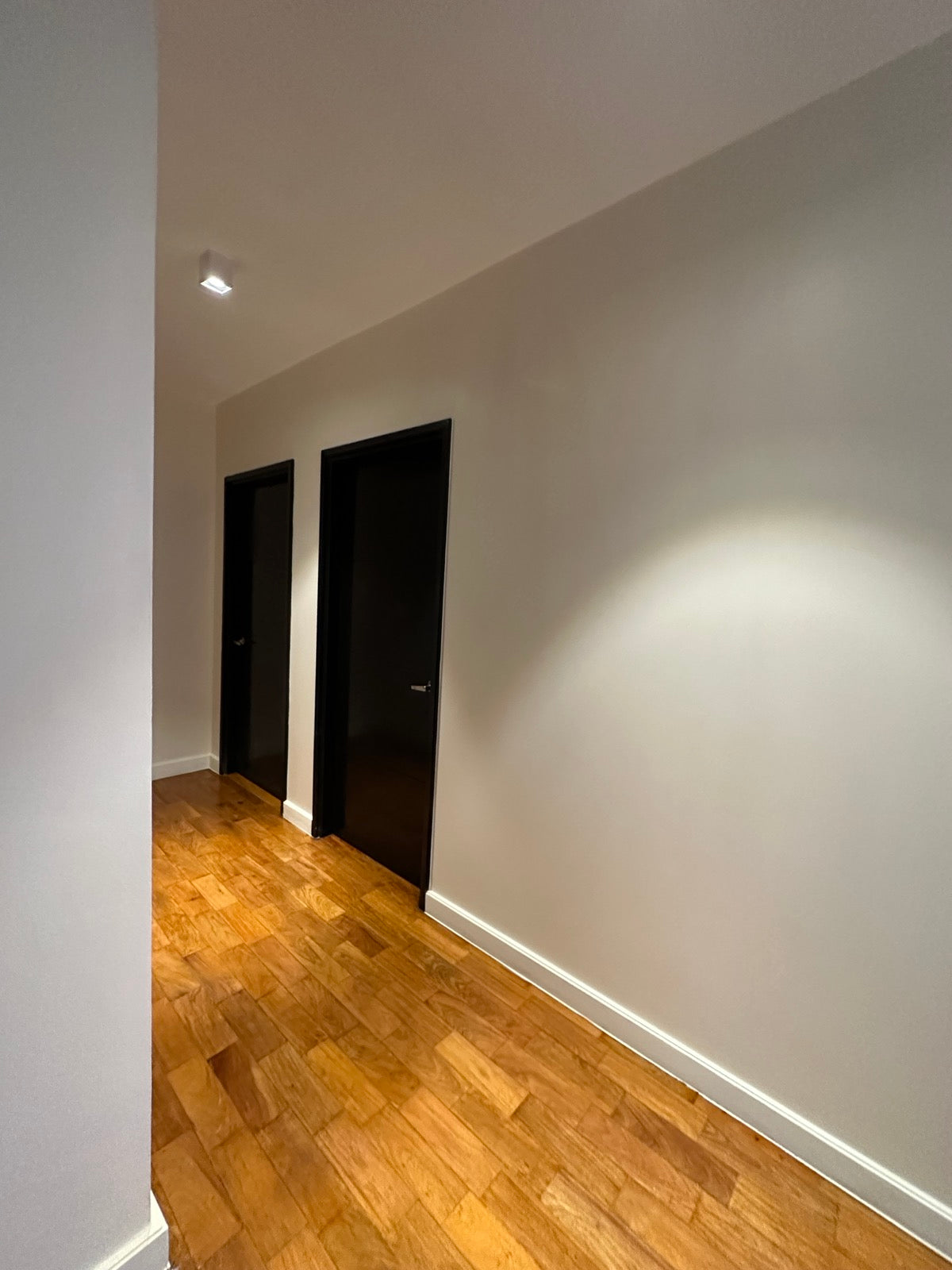 2BR One Serendra Palm, BGC, Taguig City