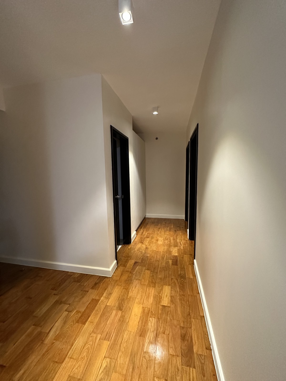 2BR One Serendra Palm, BGC, Taguig City