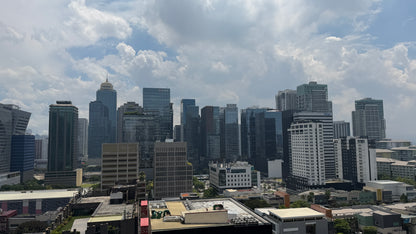 1BR at BGC One Maridien, facing Terra Park