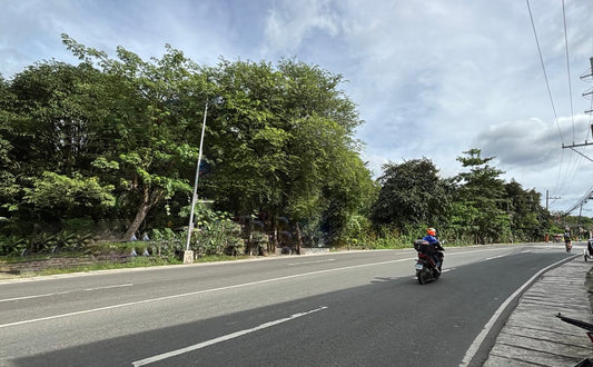 1.7 Hectares of Prime Commercial Lot Along Quirino Highway