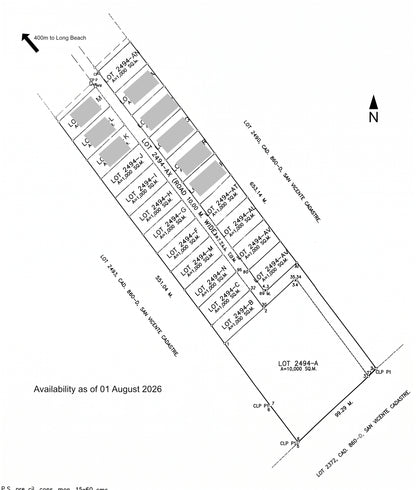 1,000 sqm Commercial Lots in San Vicente, Palawan | 5 min walk from Long Beach