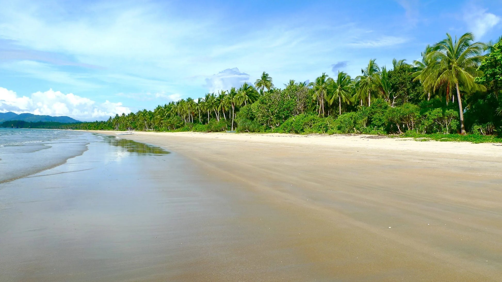 A tropical beach scene in San Vicente, Palawan with pale sand in the foreground, palm trees and green foliage along the shoreline, distant mountains, and a bright blue sky with white clouds.