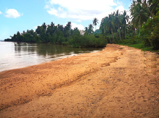 1.5-Hectare Beachfront Property at Brgy. Binga, San Vicente, Palawan