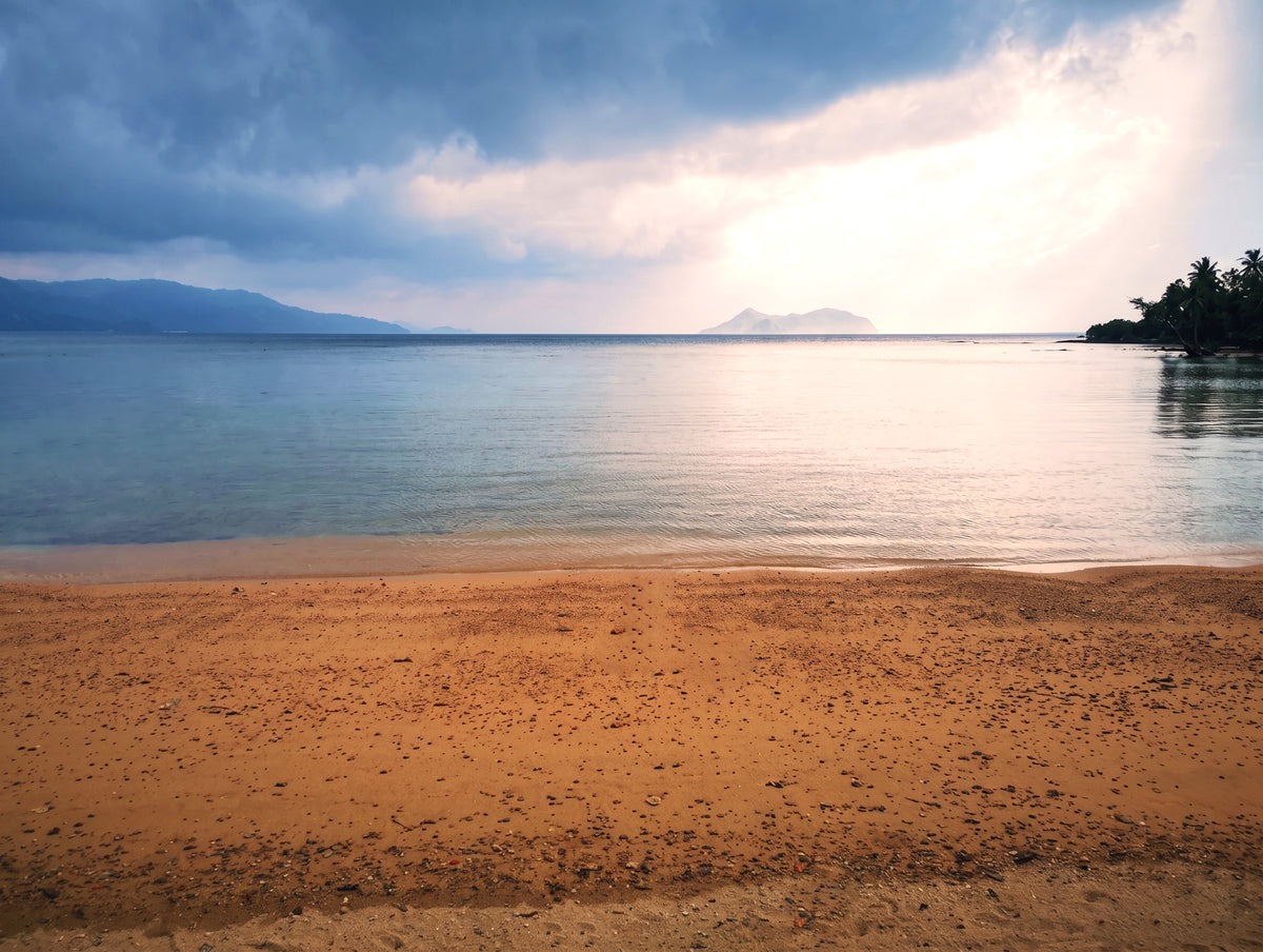 1.5-Hectare Beachfront Property at Brgy. Binga, San Vicente, Palawan