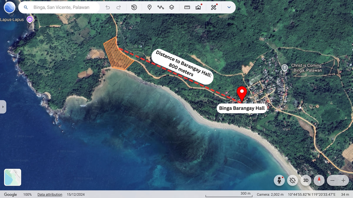 1.5-Hectare Beachfront Property at Brgy. Binga, San Vicente, Palawan