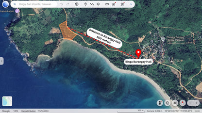 1.5-Hectare Beachfront Property at Brgy. Binga, San Vicente, Palawan
