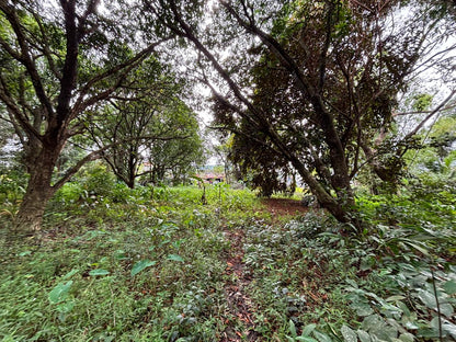 1.7 Hectares of Prime Commercial Lot Along Quirino Highway