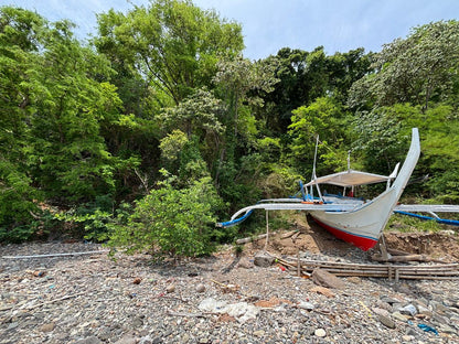 8,906 sqm Beachfront Lot for Sale in Mabini, Batangas | Anilao Area
