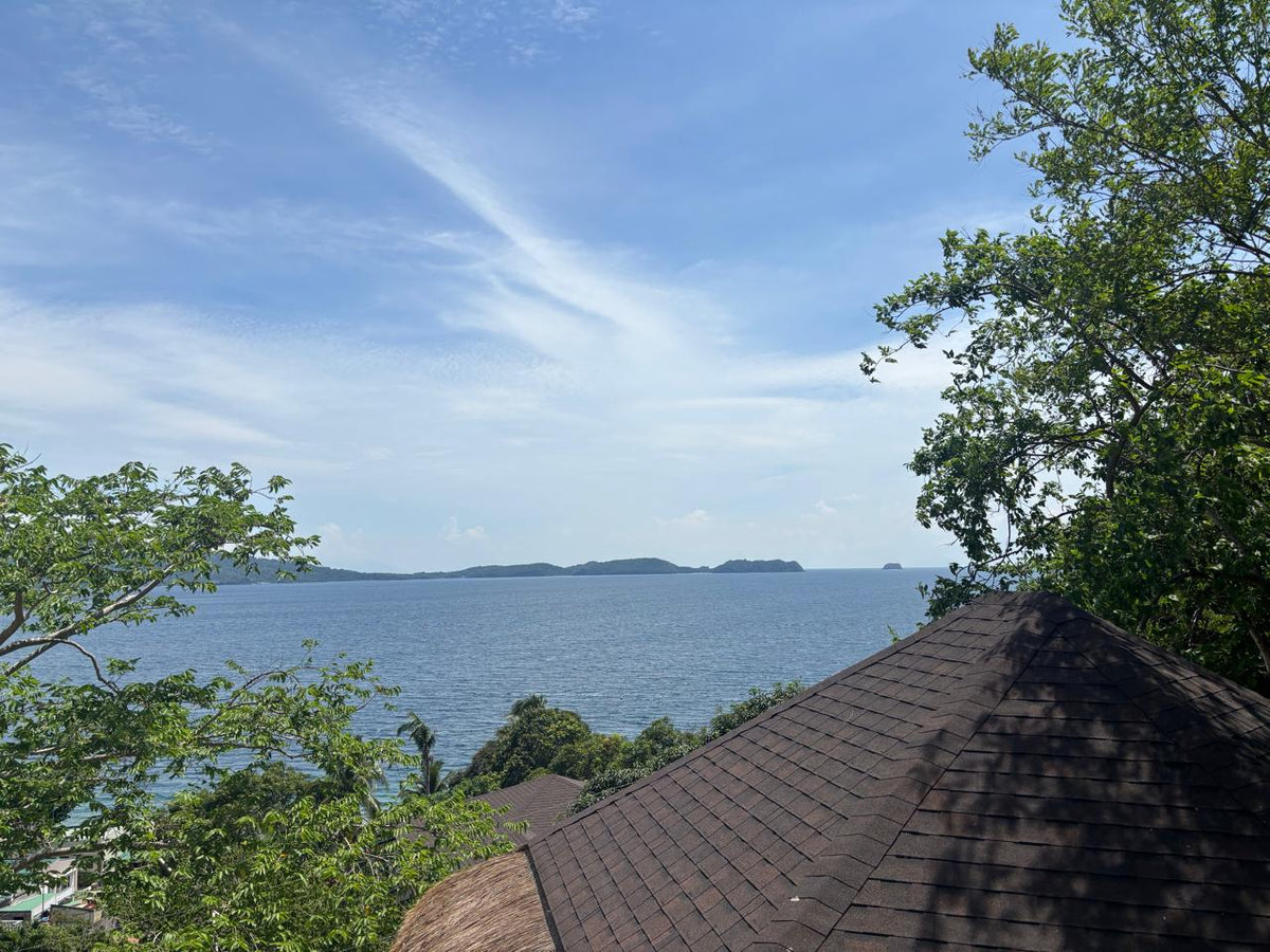 8,906 sqm Beachfront Lot for Sale in Mabini, Batangas | Anilao Area