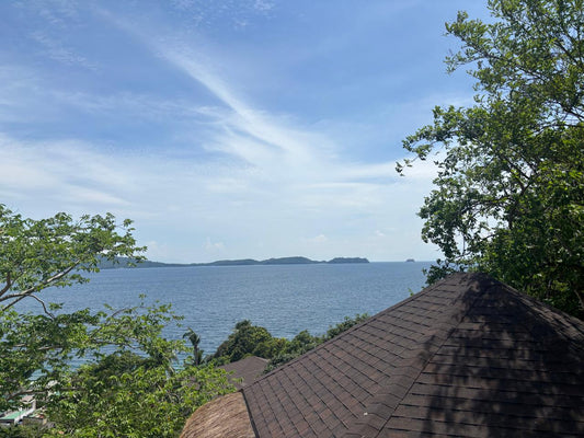 8,906 sqm Beachfront Lot for Sale in Mabini, Batangas | Anilao Area