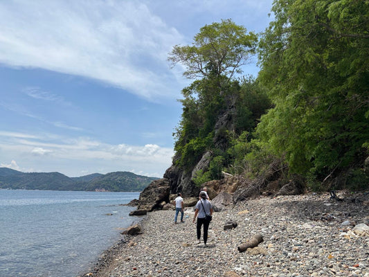 8,906 sqm Beachfront Lot for Sale in Mabini, Batangas | Anilao Area