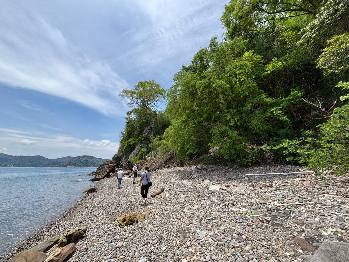 8,906 sqm Beachfront Lot for Sale in Mabini, Batangas | Anilao Area