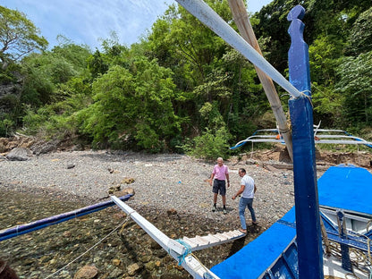 8,906 sqm Beachfront Lot for Sale in Mabini, Batangas | Anilao Area
