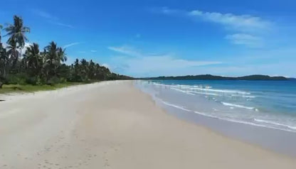 1,000 sqm Commercial Lots in San Vicente, Palawan | 5 min walk from Long Beach